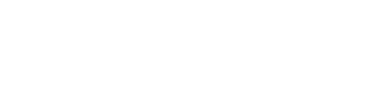 Silver Edition Text